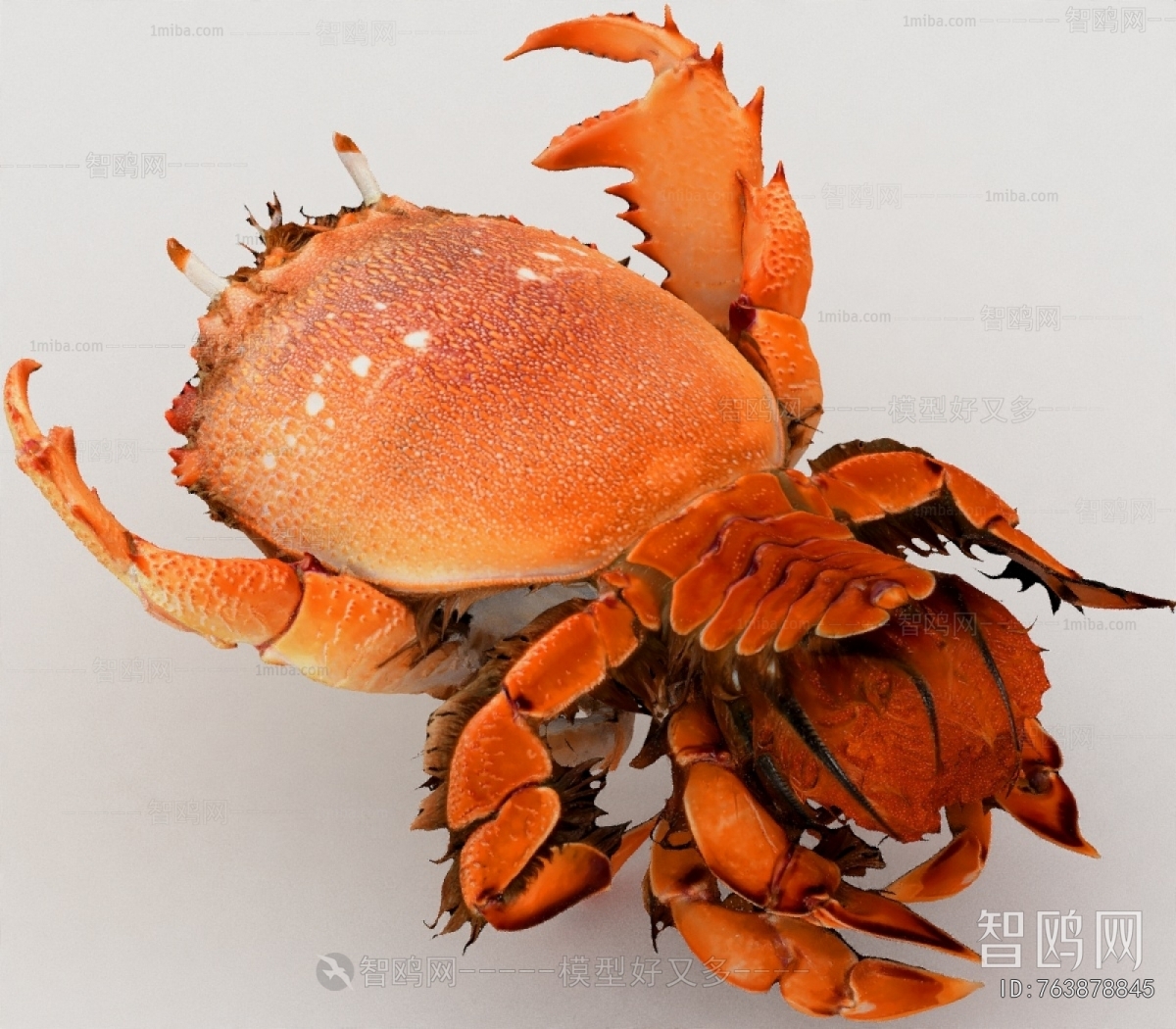 Modern Aquatic Product