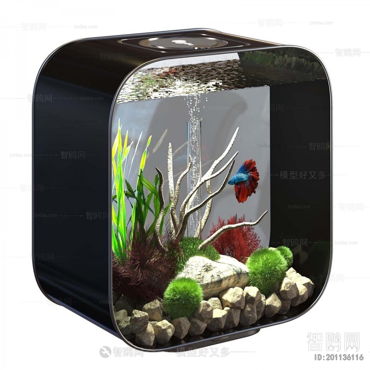 Modern Fish Tank