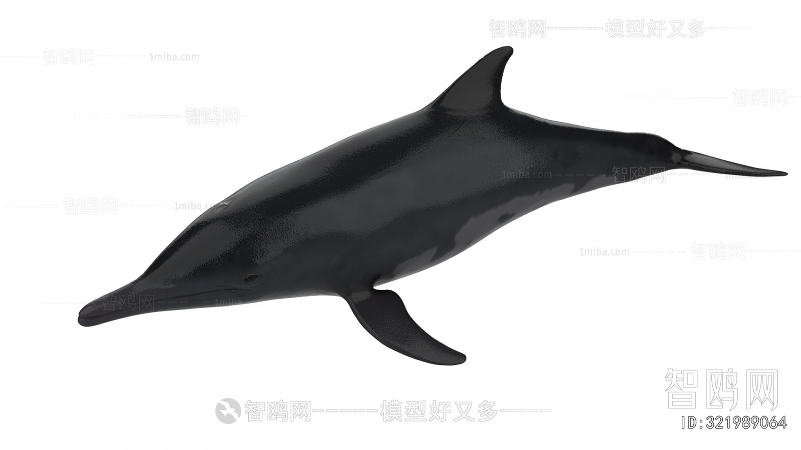 Modern Aquatic Animals