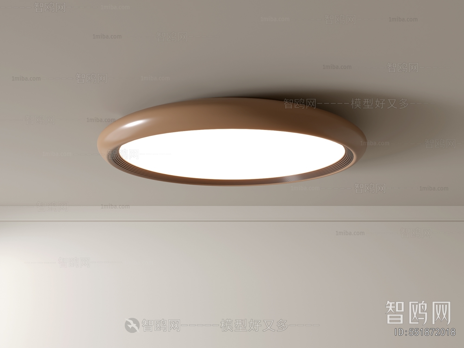Modern Ceiling Ceiling Lamp