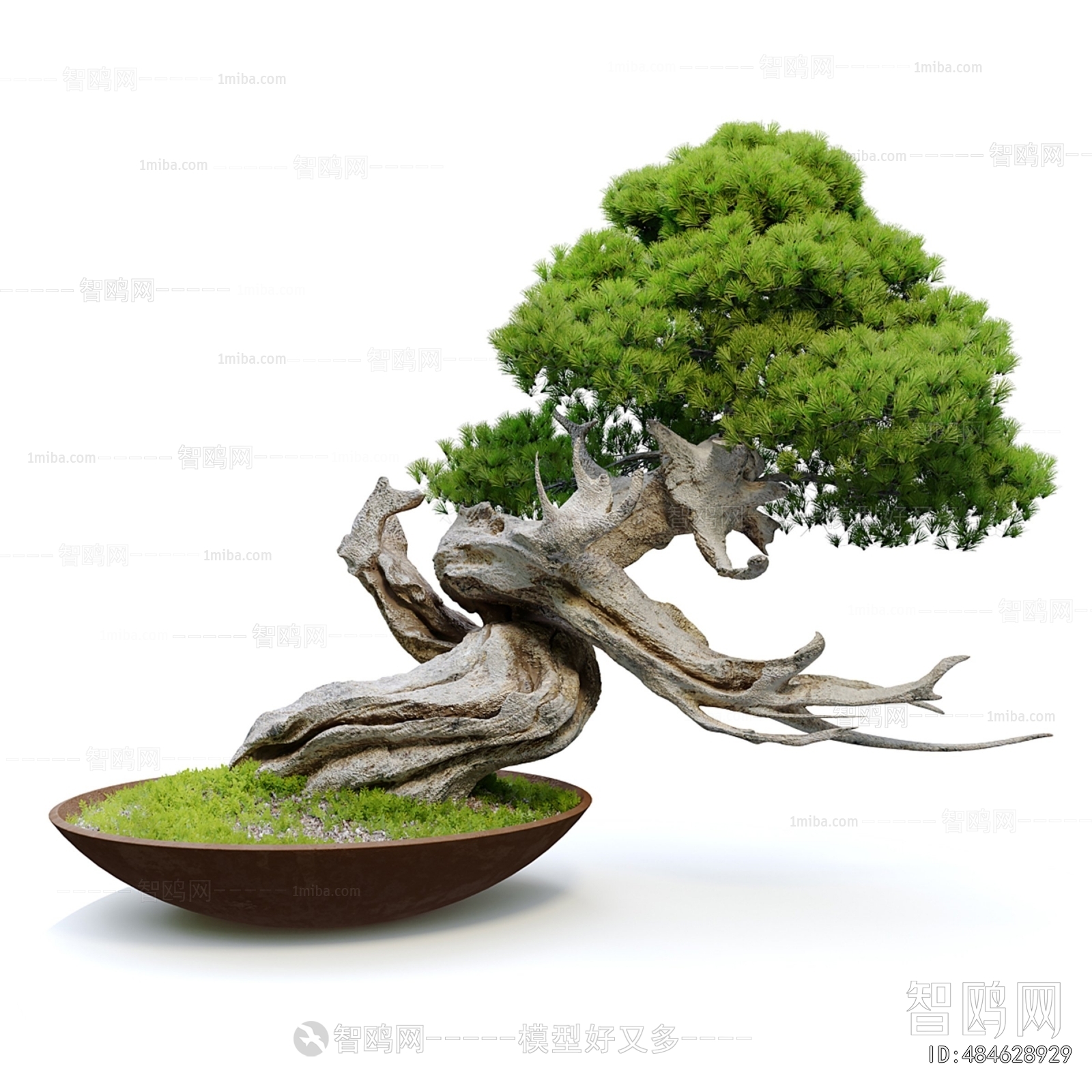 Modern Bonsai