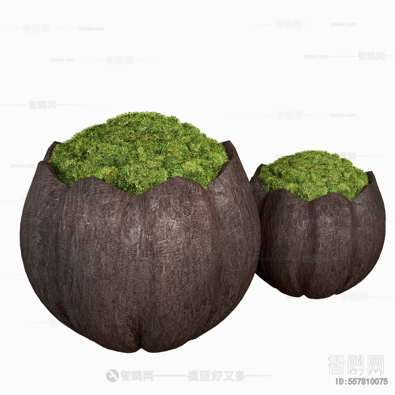 Modern Potted Green Plant