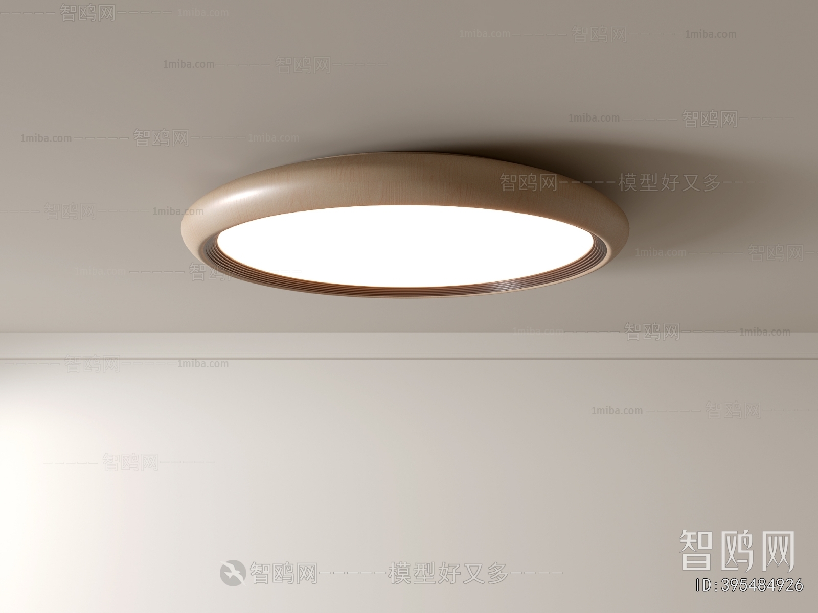 Modern Ceiling Ceiling Lamp
