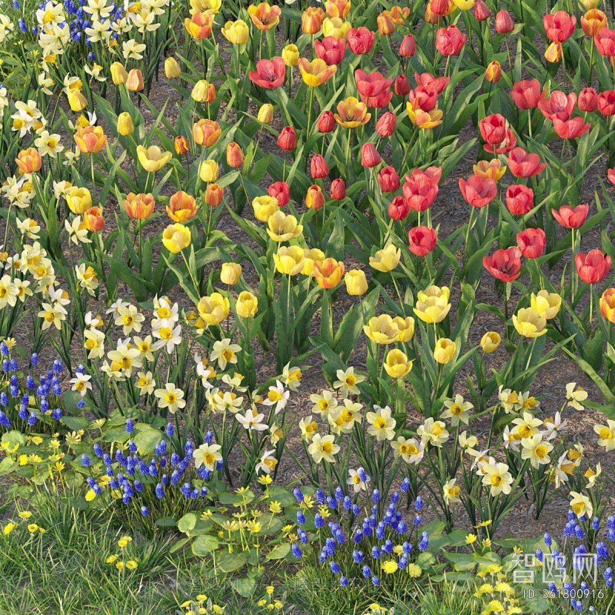 Modern Flowers And Grass