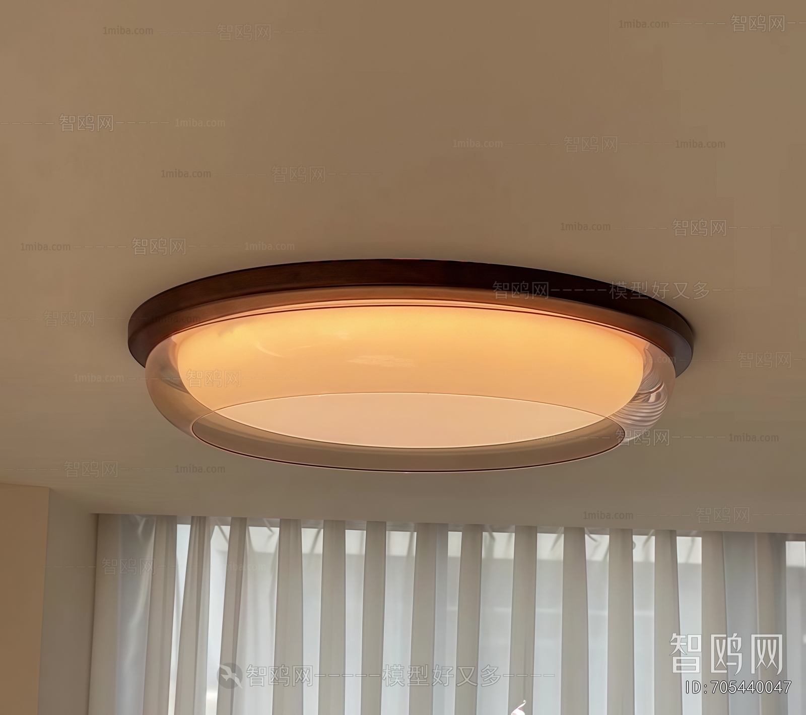 Modern Ceiling Ceiling Lamp