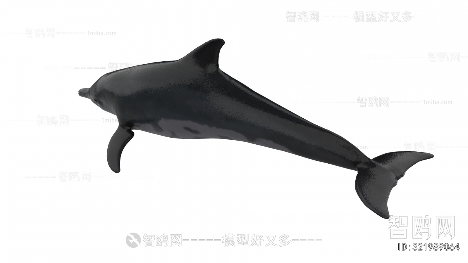 Modern Aquatic Animals