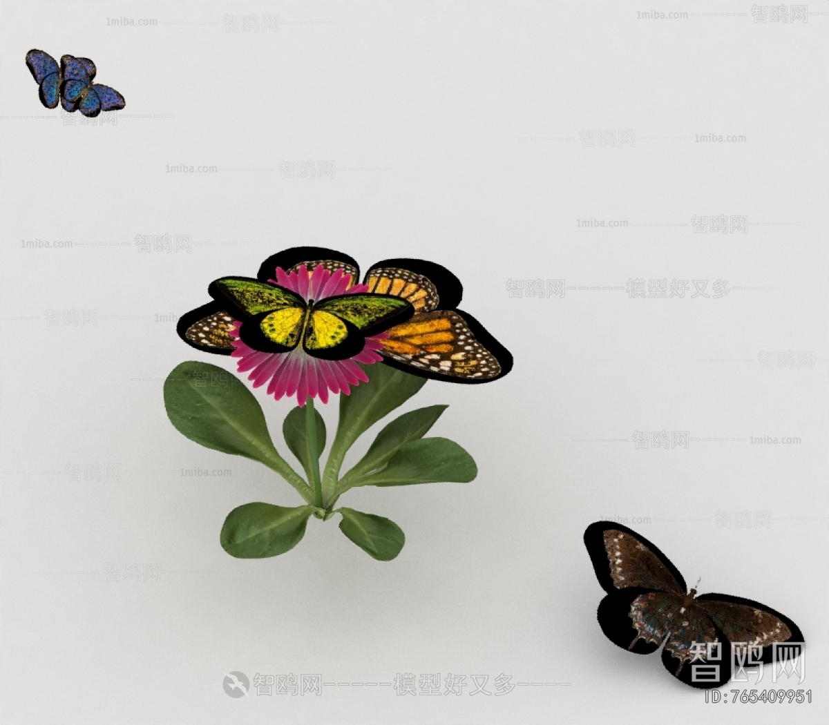 Modern Other Animals