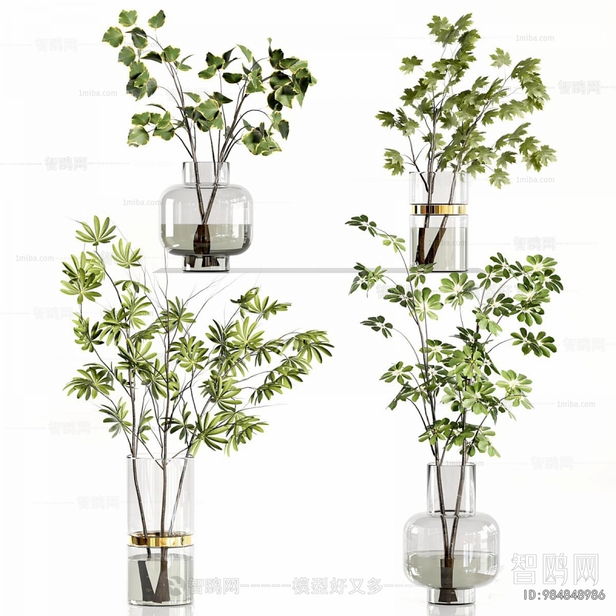 Modern Aquatic Green Plant