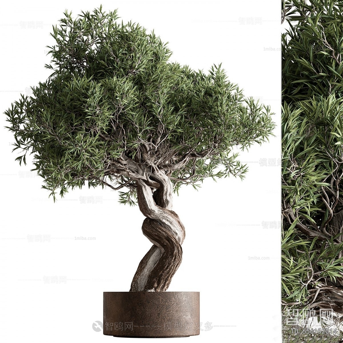 Modern Ground Green Plant Potted Plants