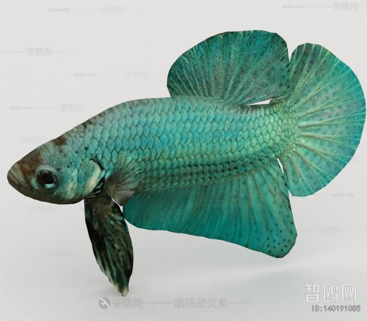 Modern Aquatic Animals