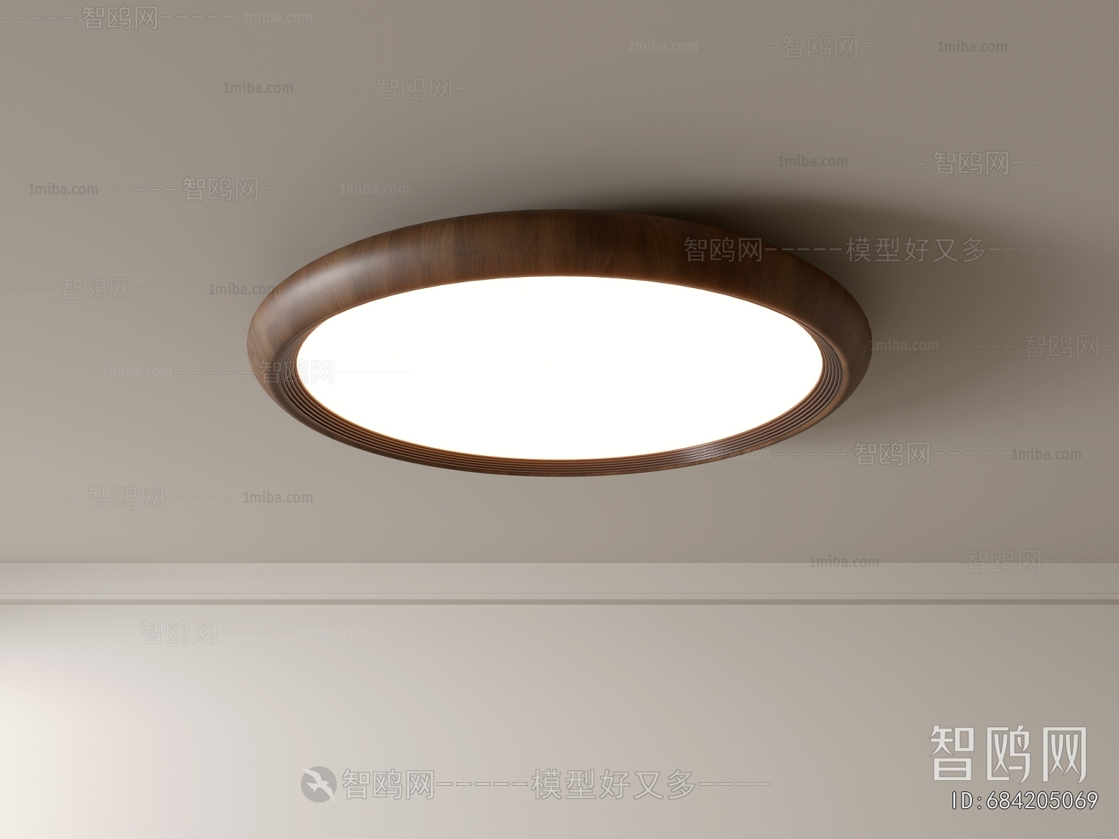 Modern Ceiling Ceiling Lamp