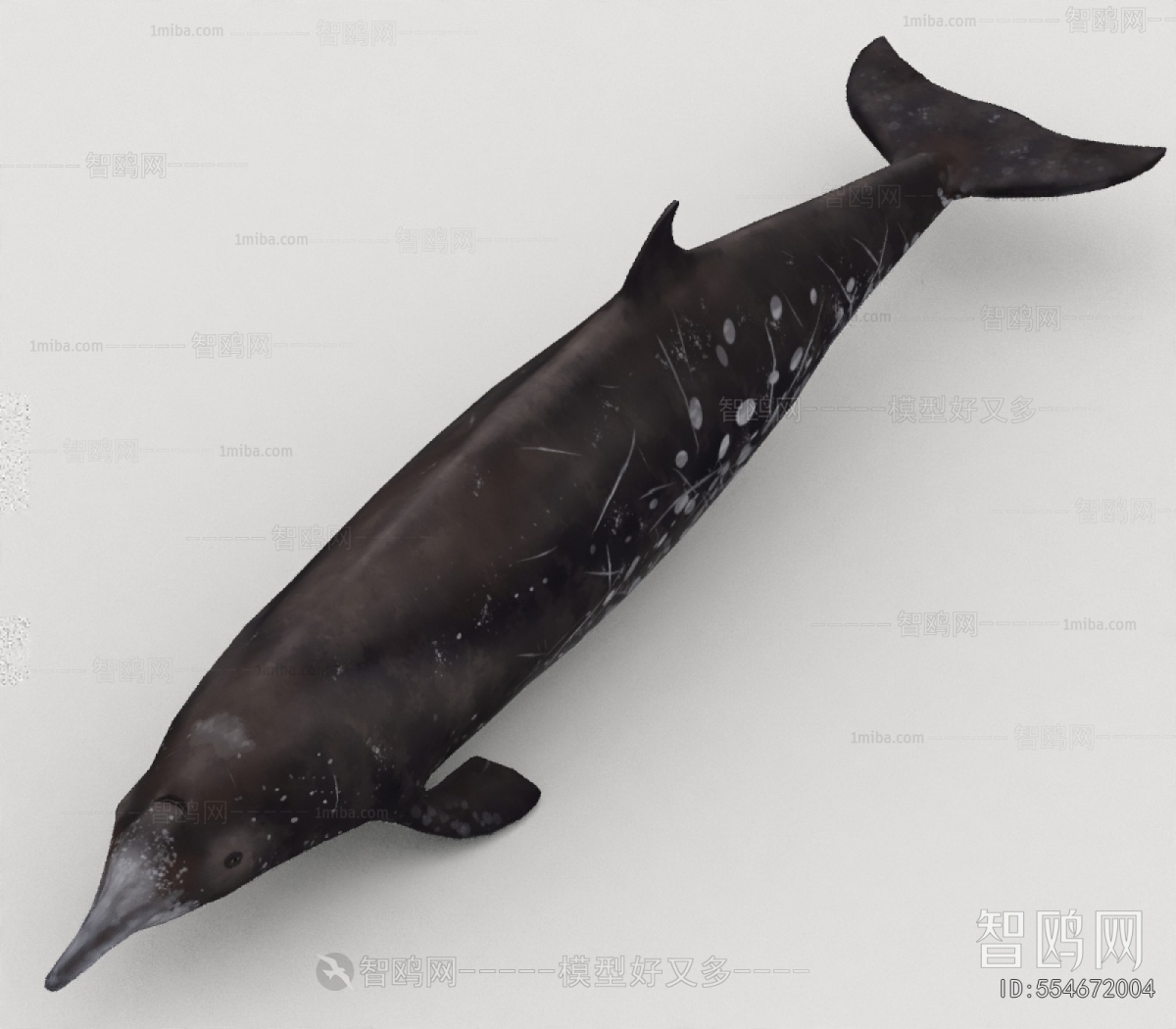 Modern Aquatic Animals