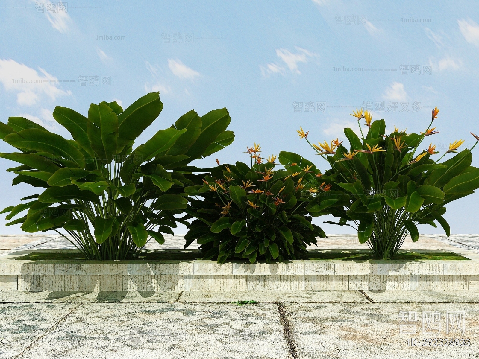 Modern Flowers And Grass