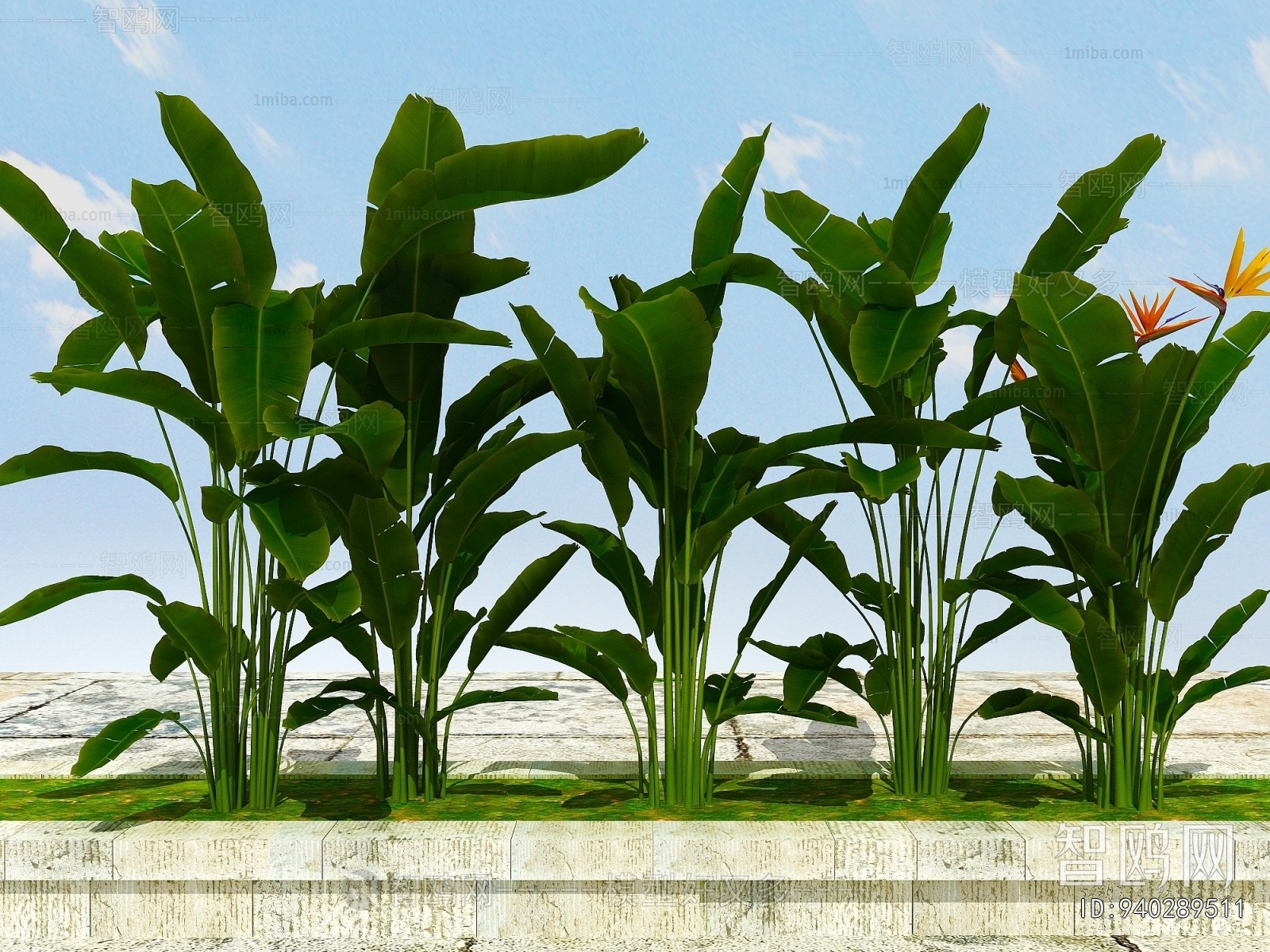 Modern Flowers And Grass