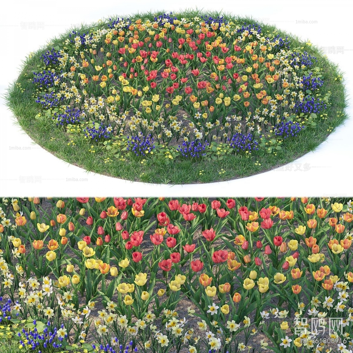 Modern Flowers And Grass