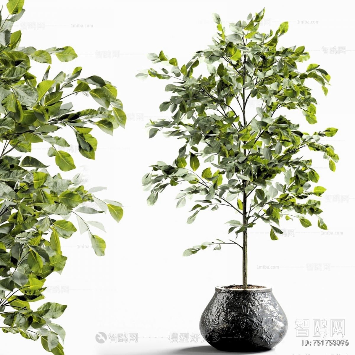 Modern Ground Green Plant Potted Plants