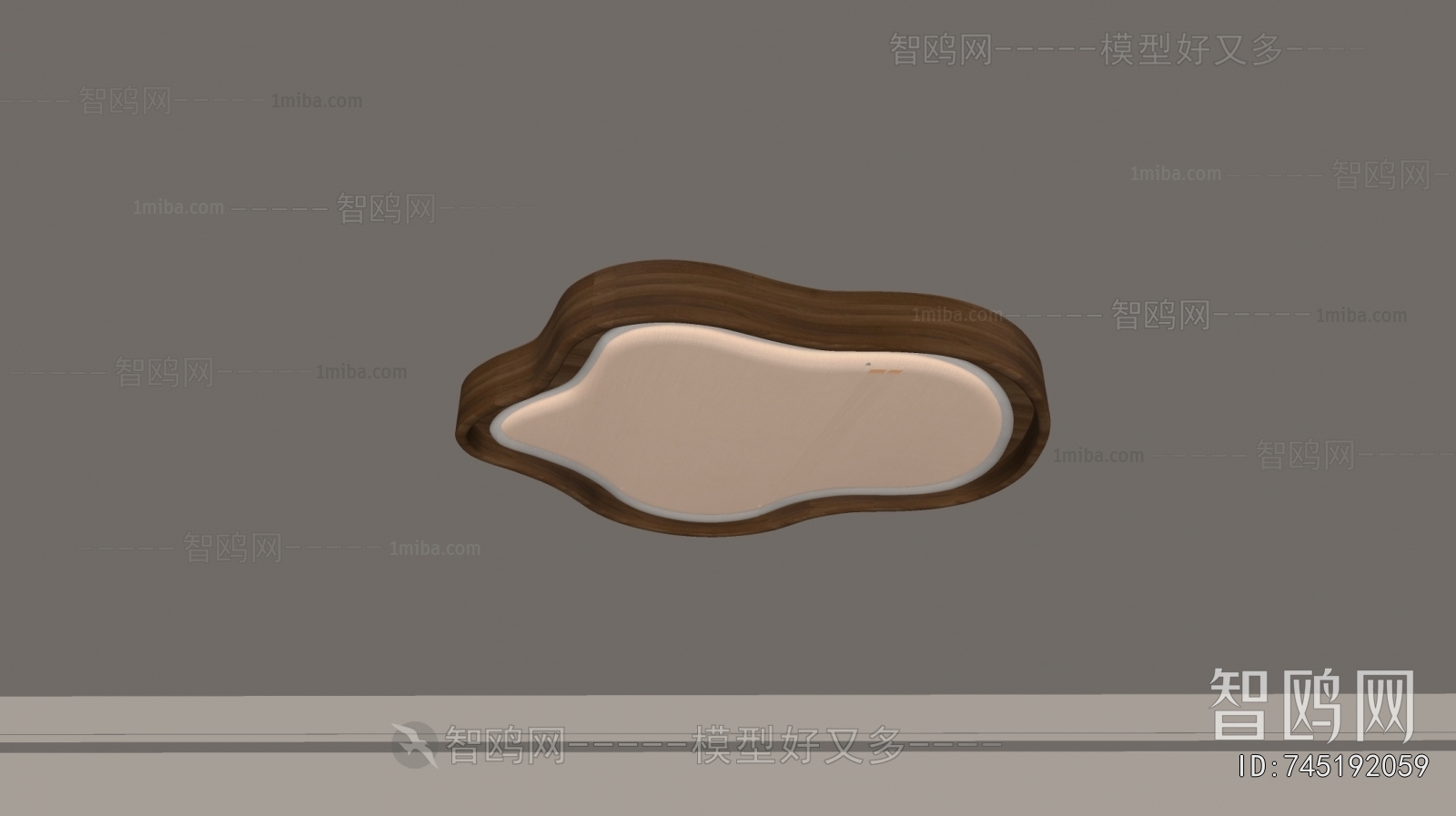 Modern Ceiling Ceiling Lamp