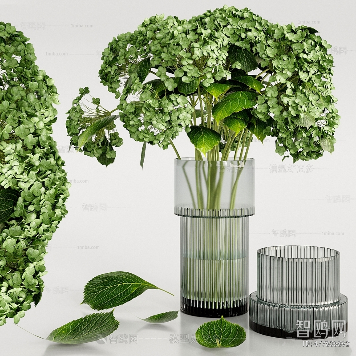 Modern Aquatic Green Plant