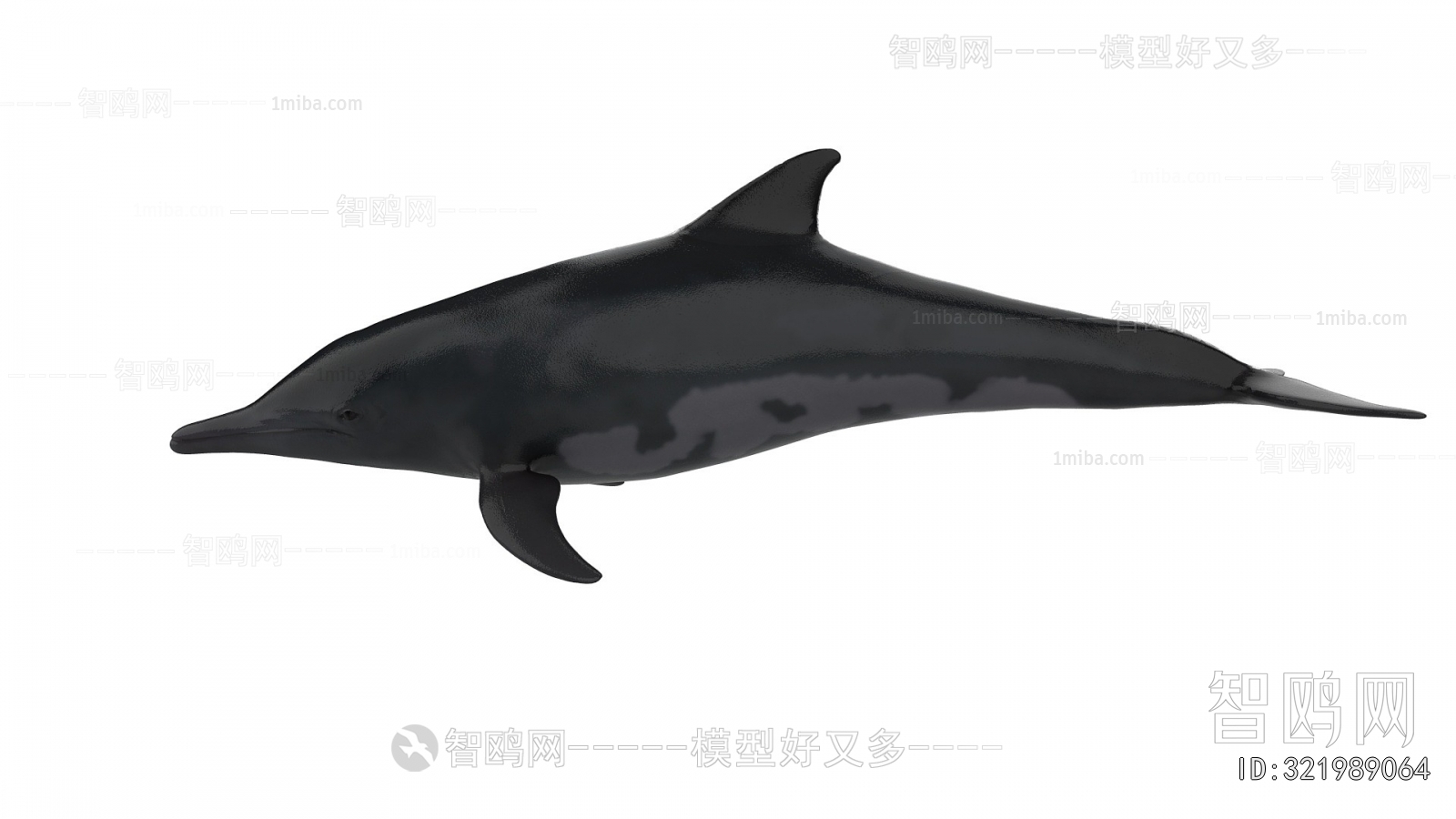 Modern Aquatic Animals