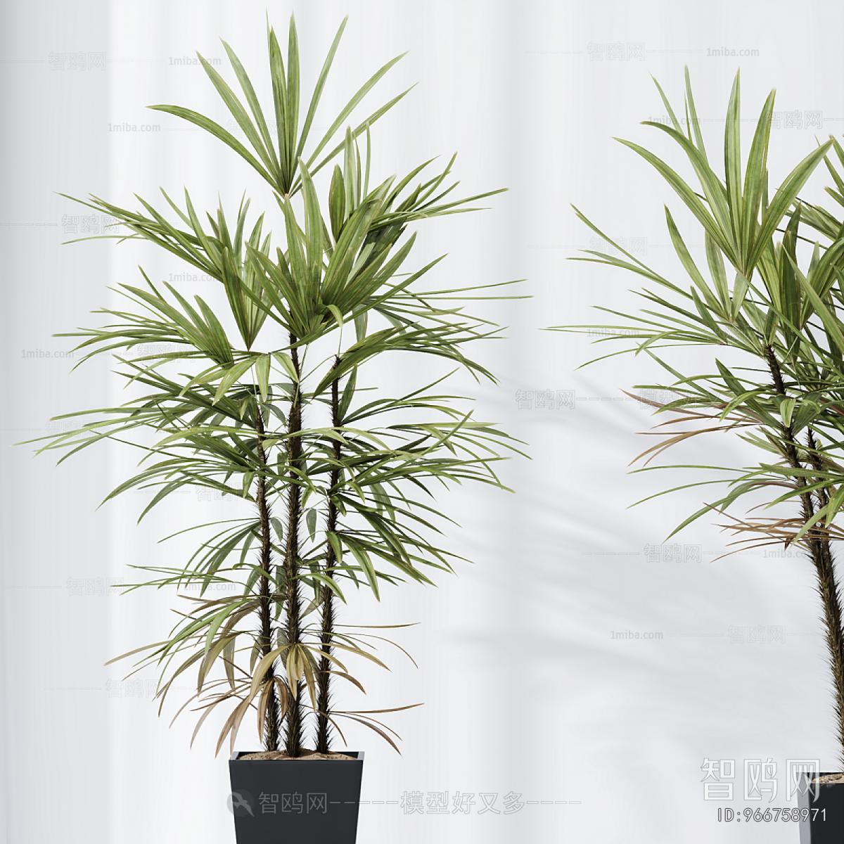 Modern Ground Green Plant Potted Plants