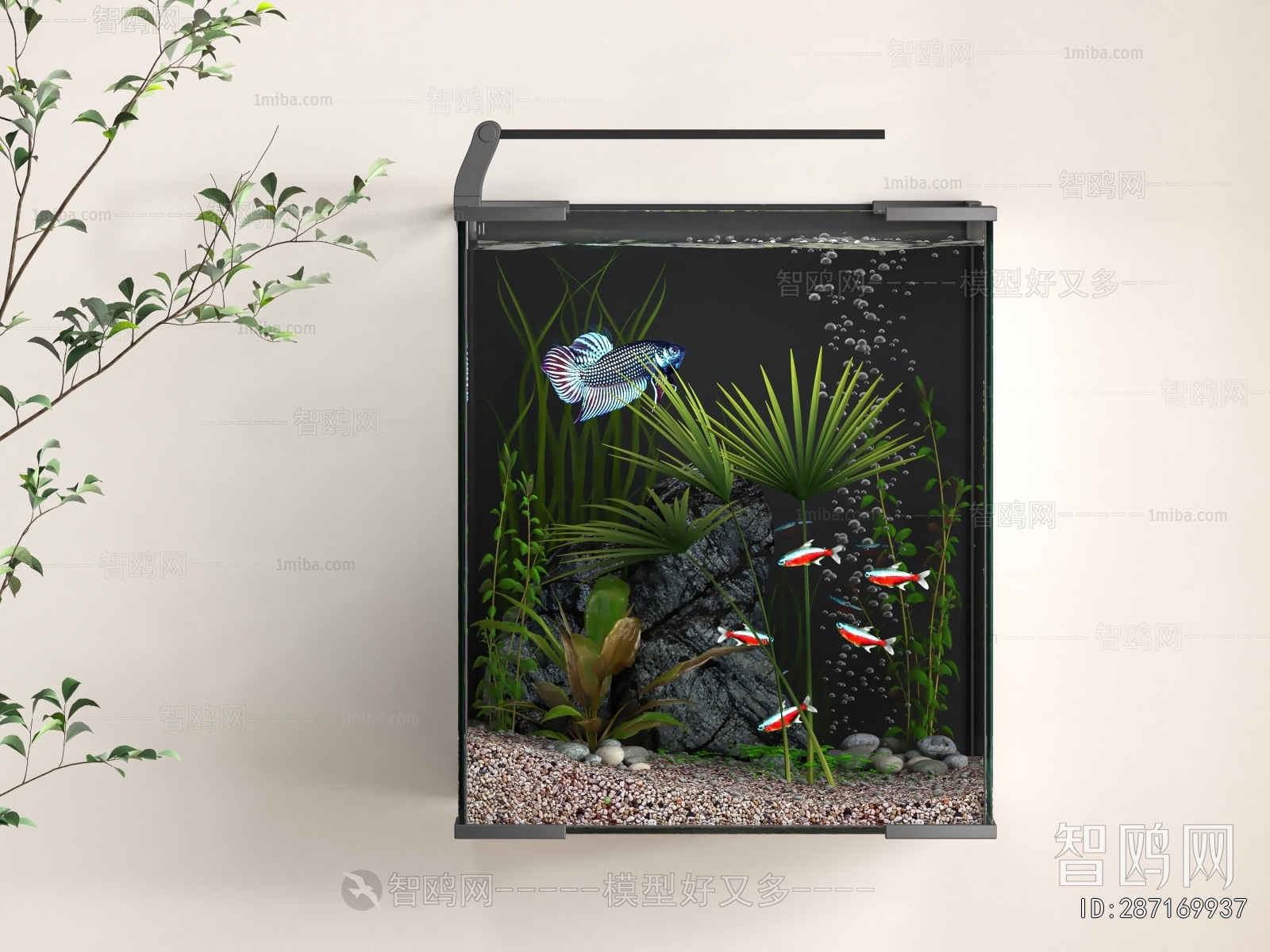 Modern Fish Tank
