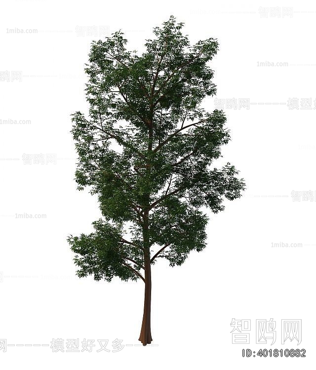Modern Tree