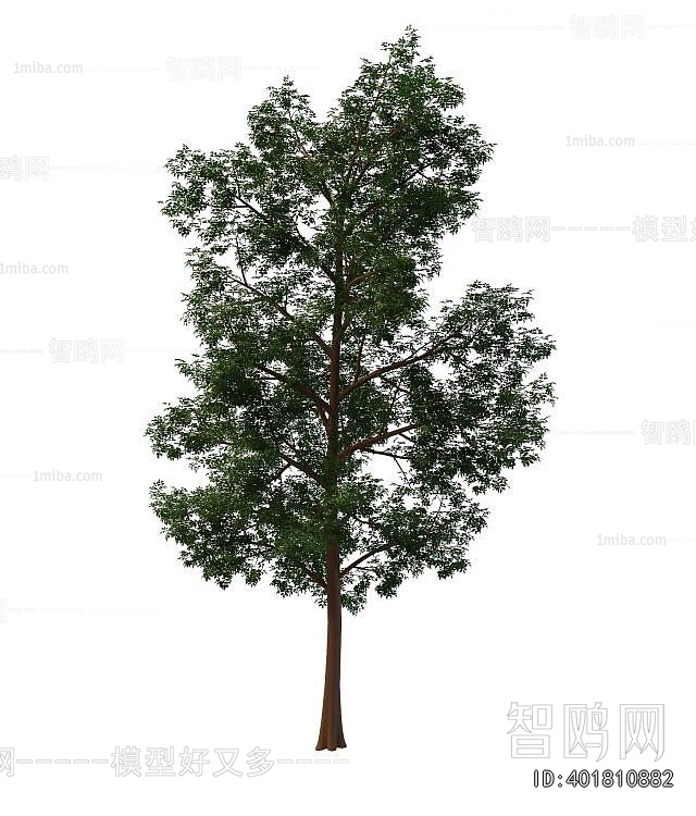 Modern Tree