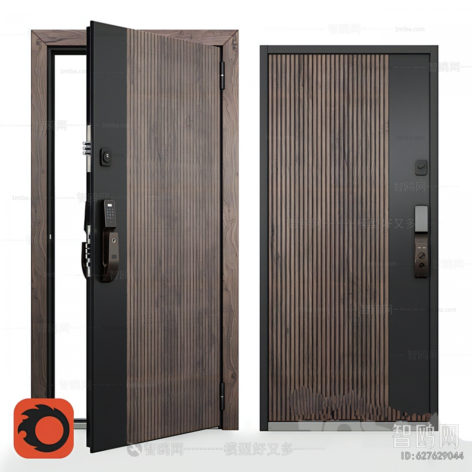 Modern Entrance Door