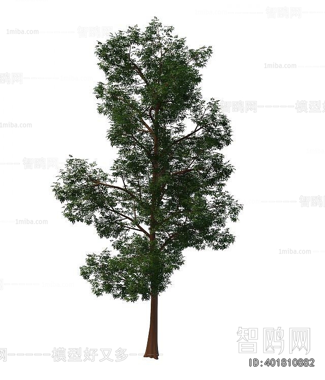 Modern Tree