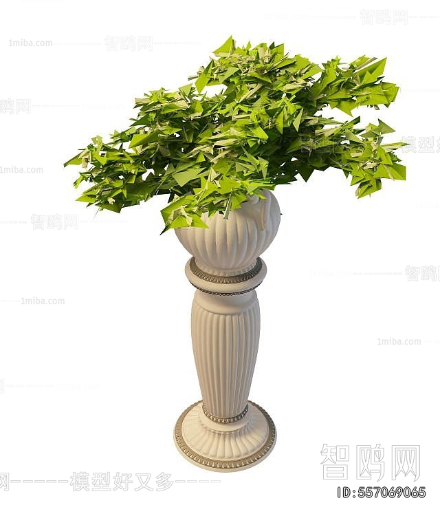 European Style Potted Green Plant