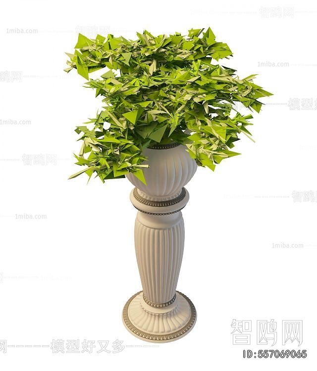 European Style Potted Green Plant