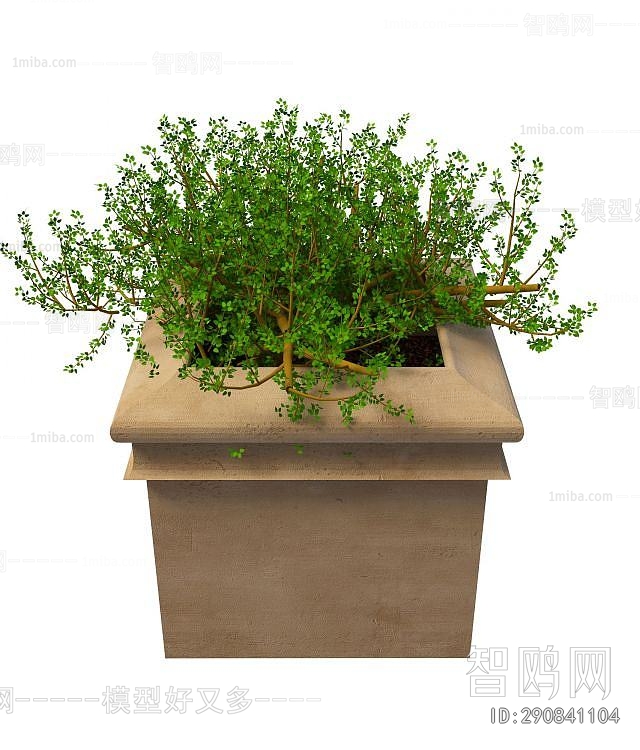 Modern Flower Bed, Flower Bowl, Flower Box