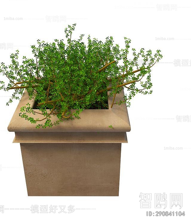 Modern Flower Bed, Flower Bowl, Flower Box