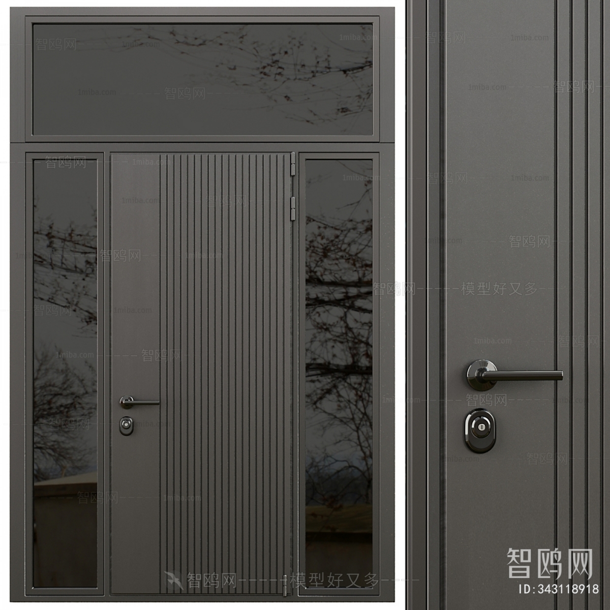 Modern Entrance Door