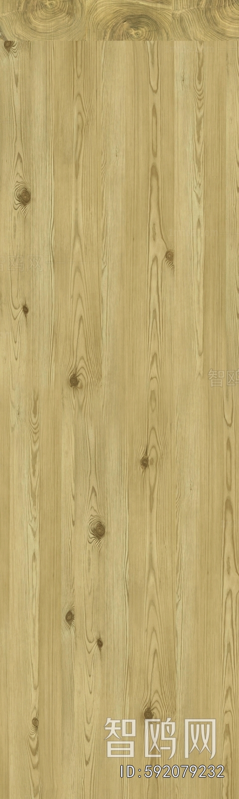 Wood Texture