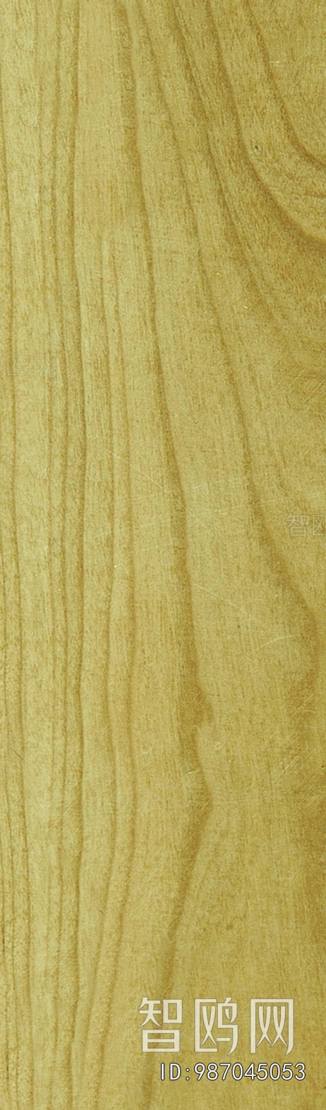 Wood Texture