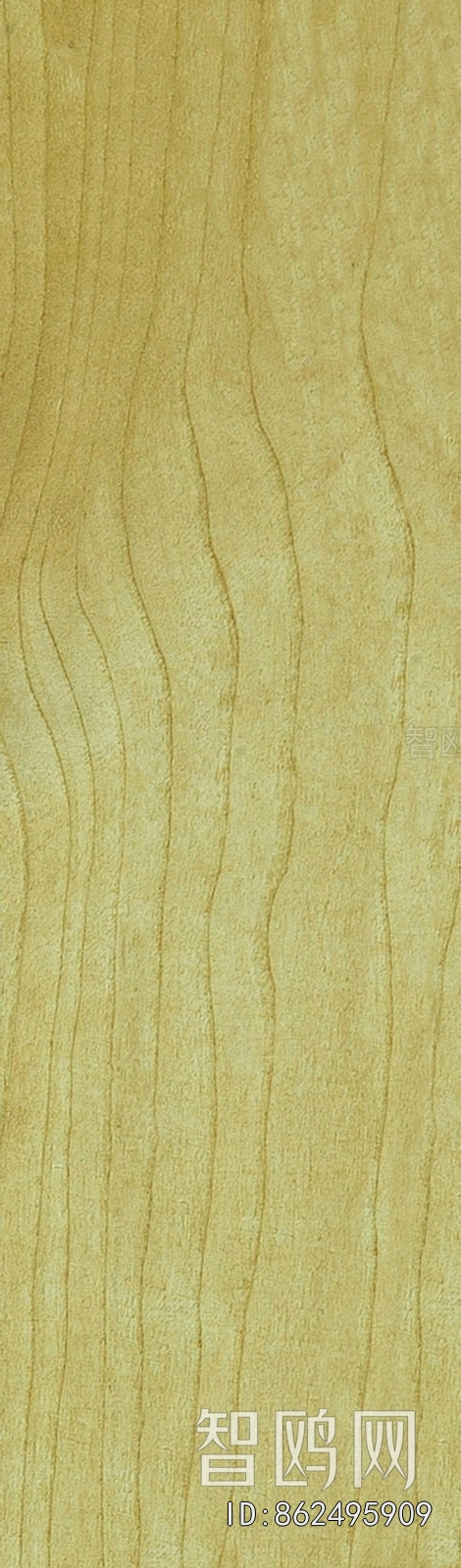 Wood Texture