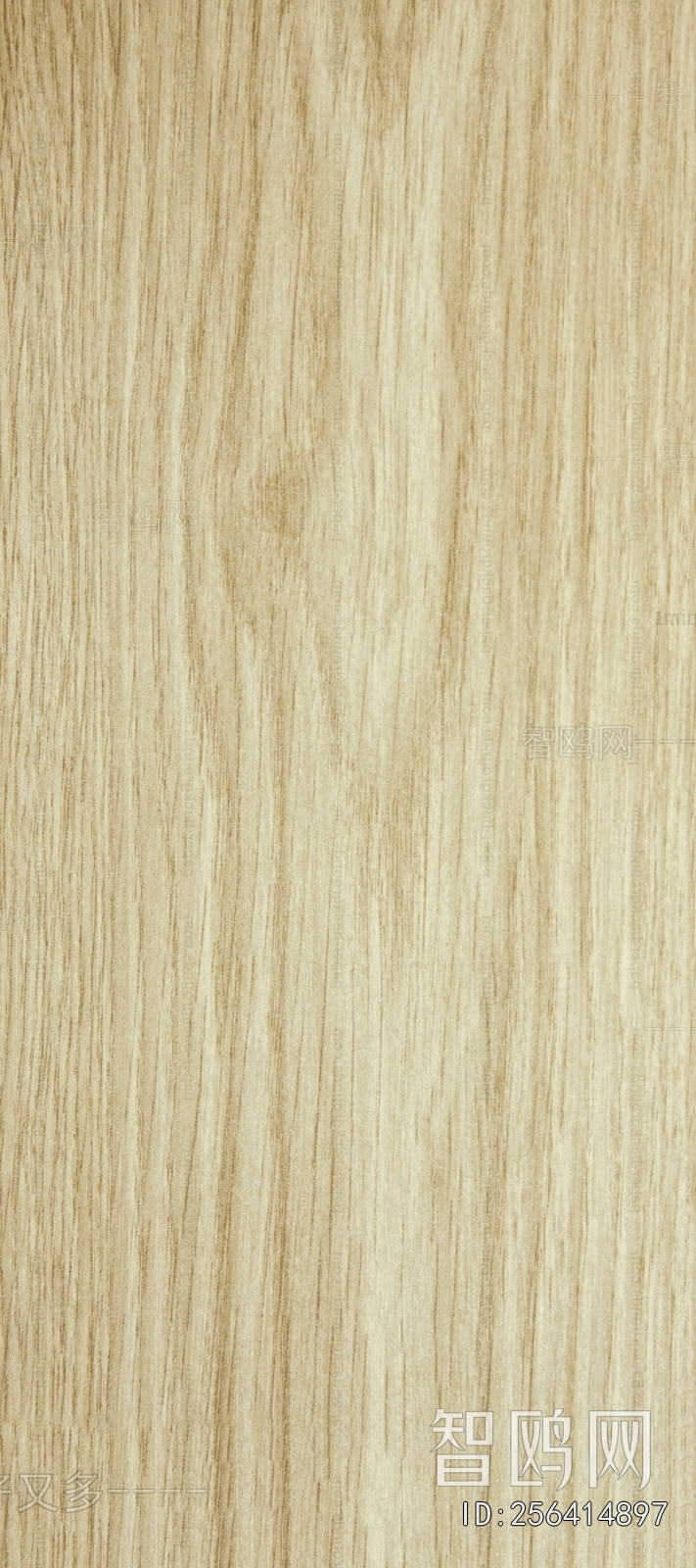 Wood Texture