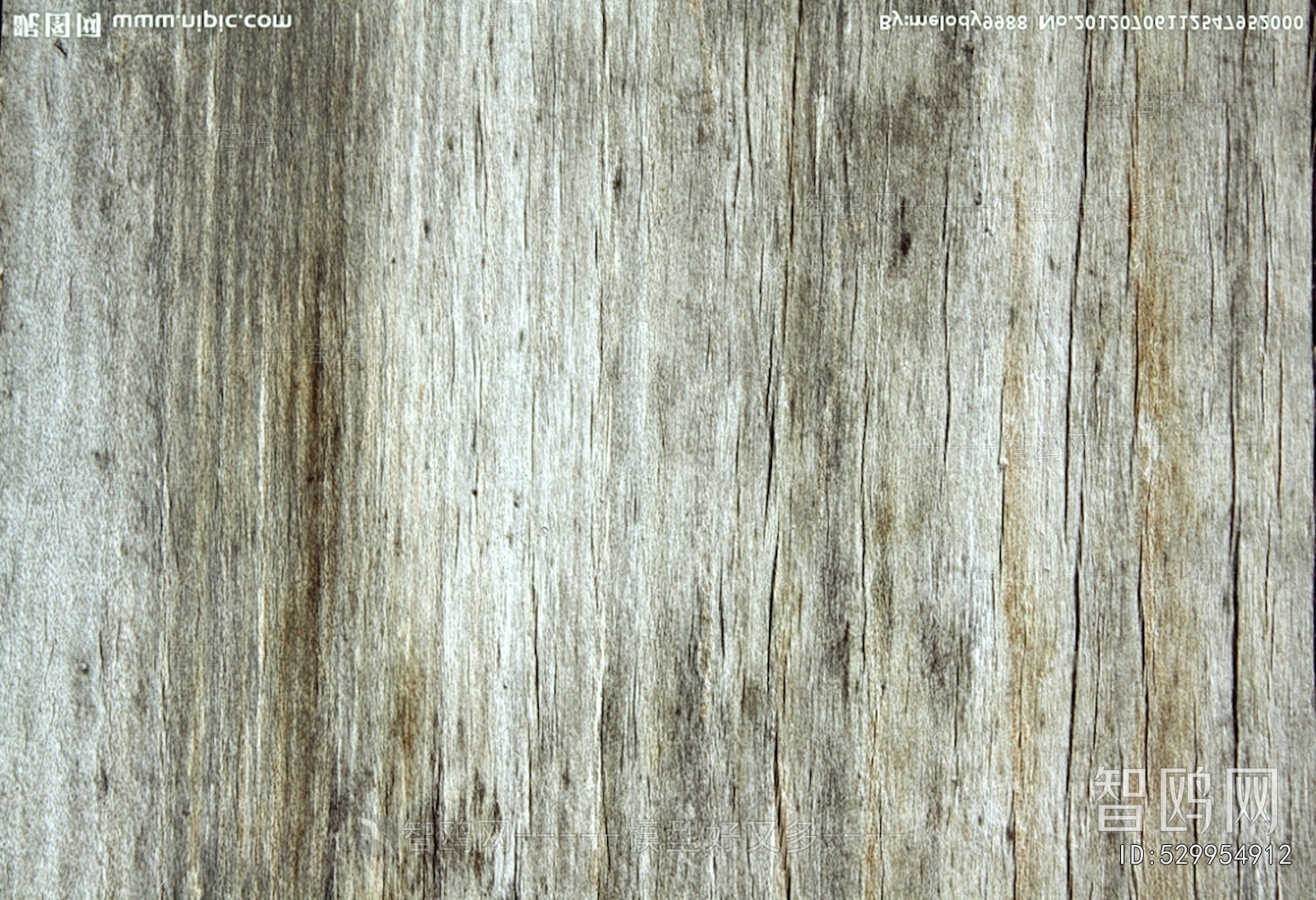 Wood Texture