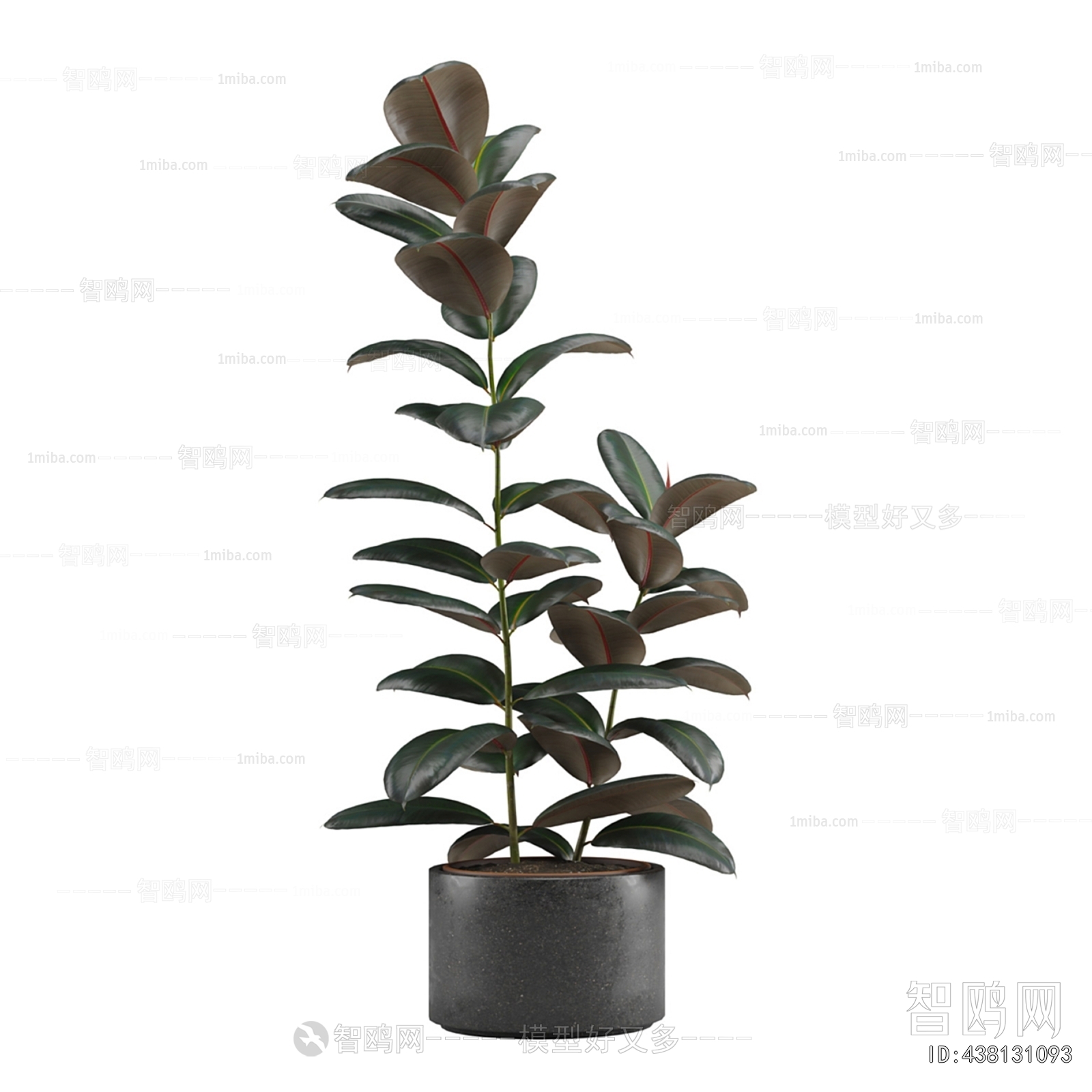 Modern Potted Green Plant