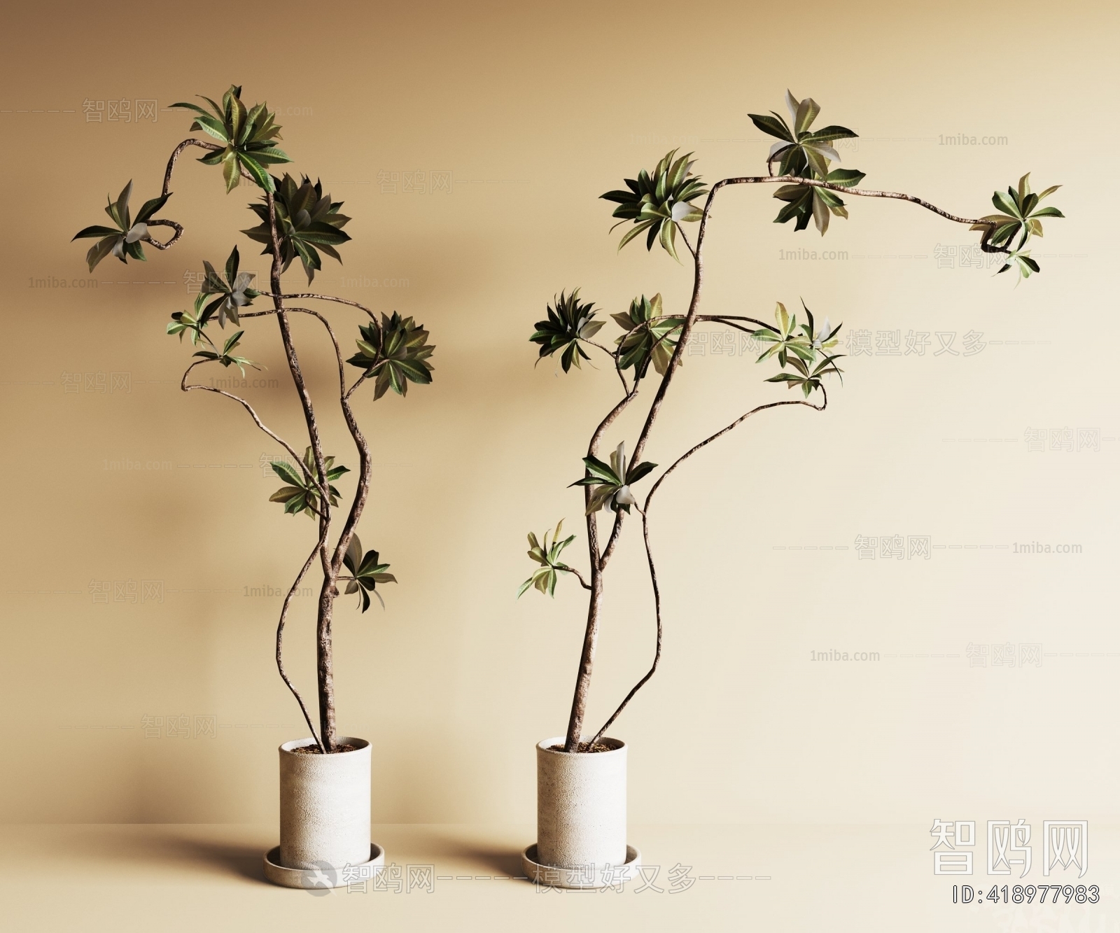 Modern Ground Green Plant Potted Plants