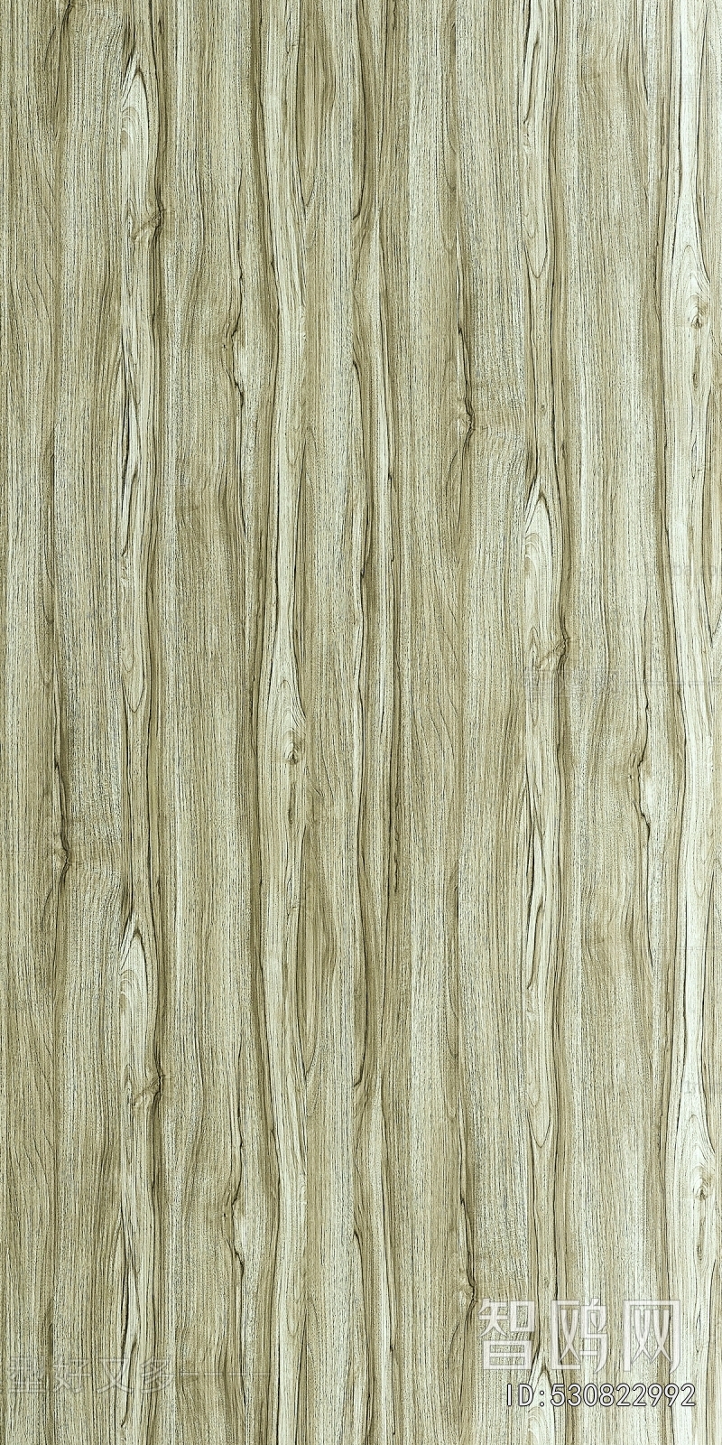 Wood Texture