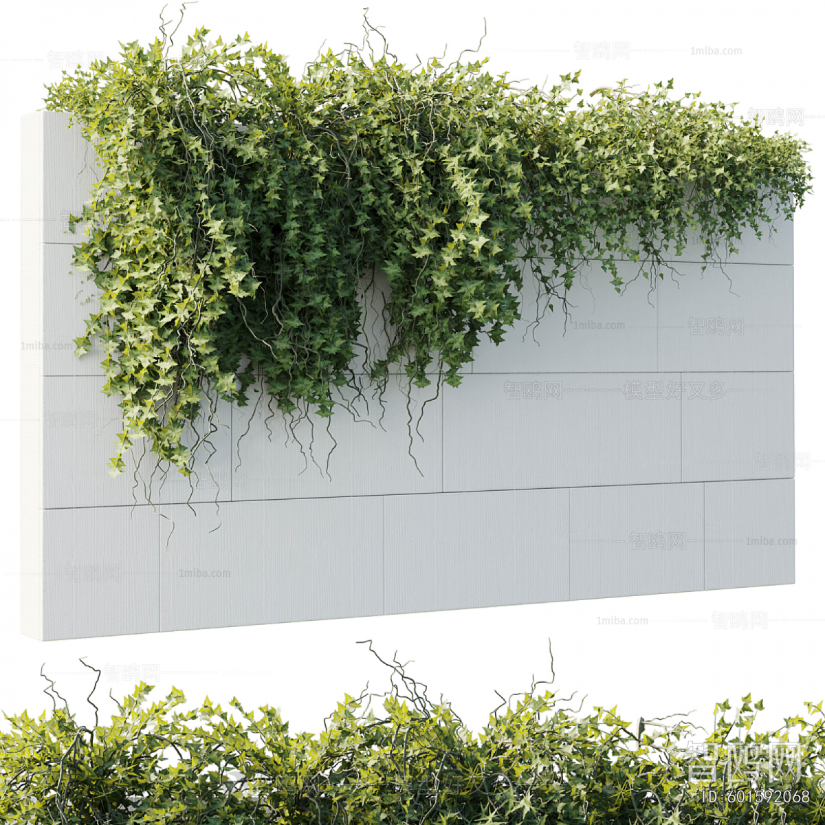 Modern Plant Wall