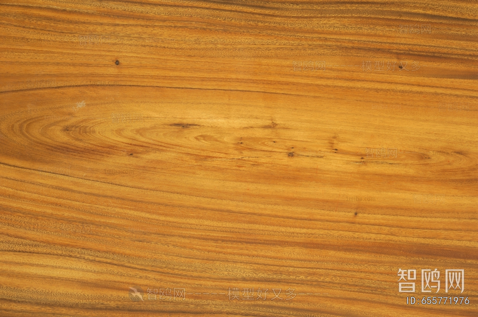 Wood Texture