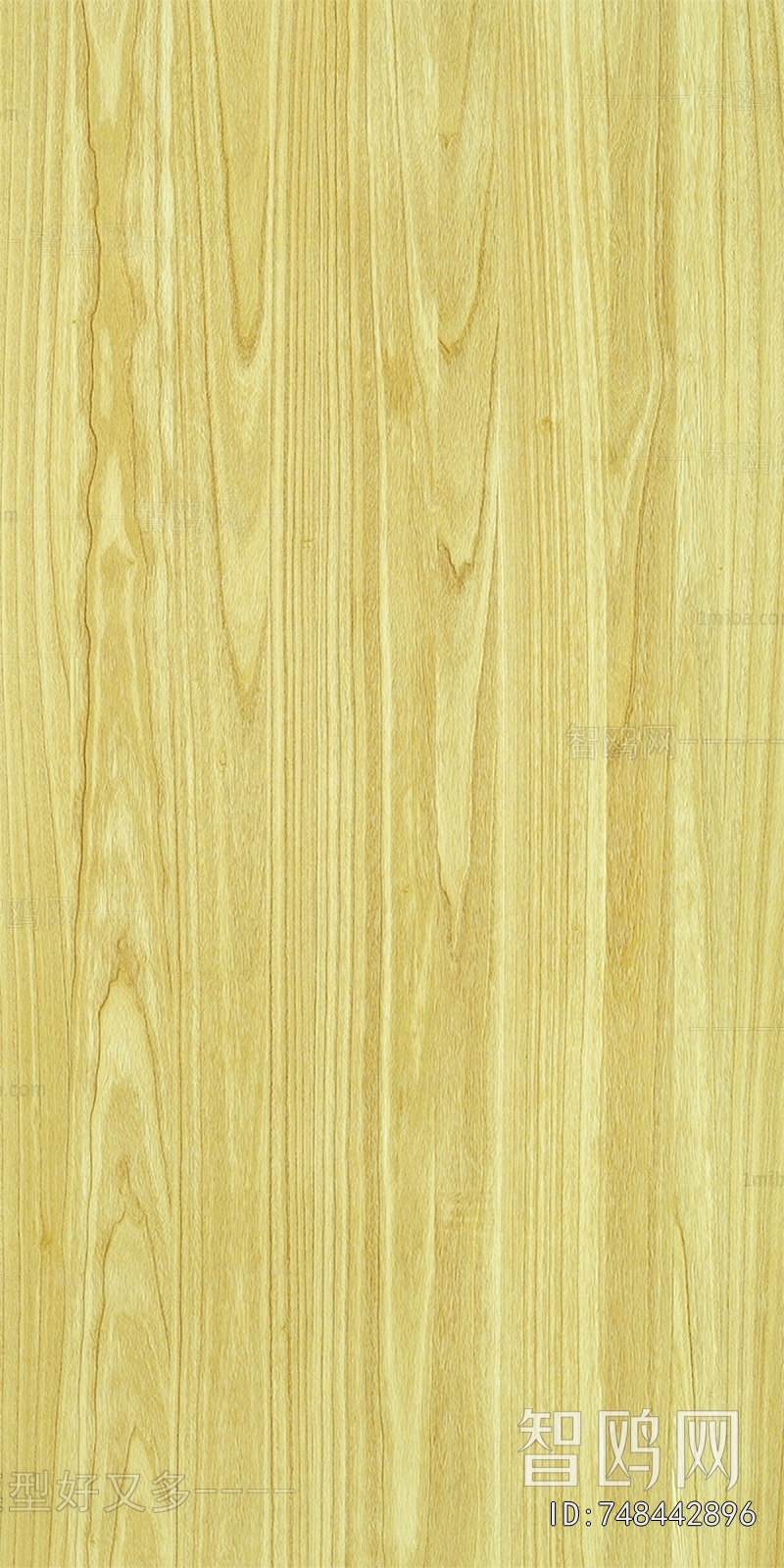 Wood Texture
