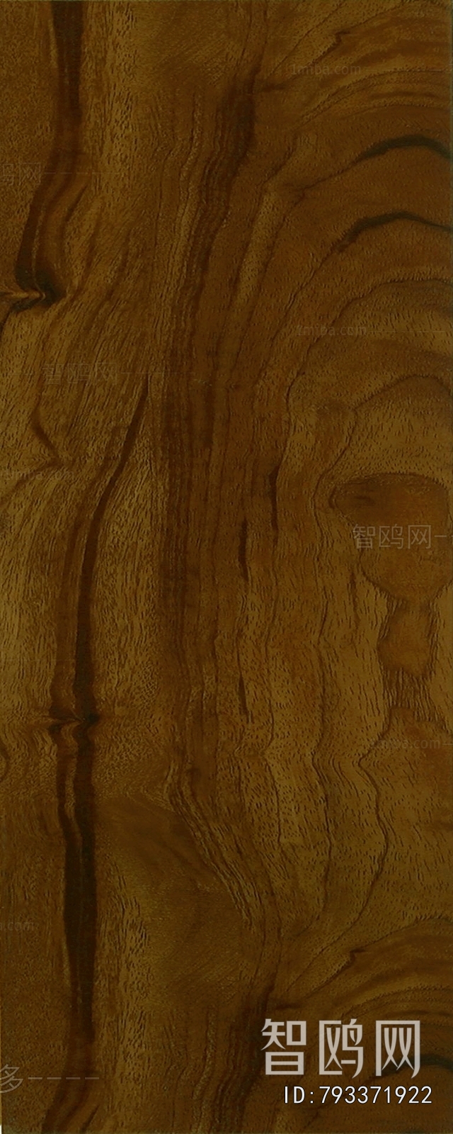 Wood Texture