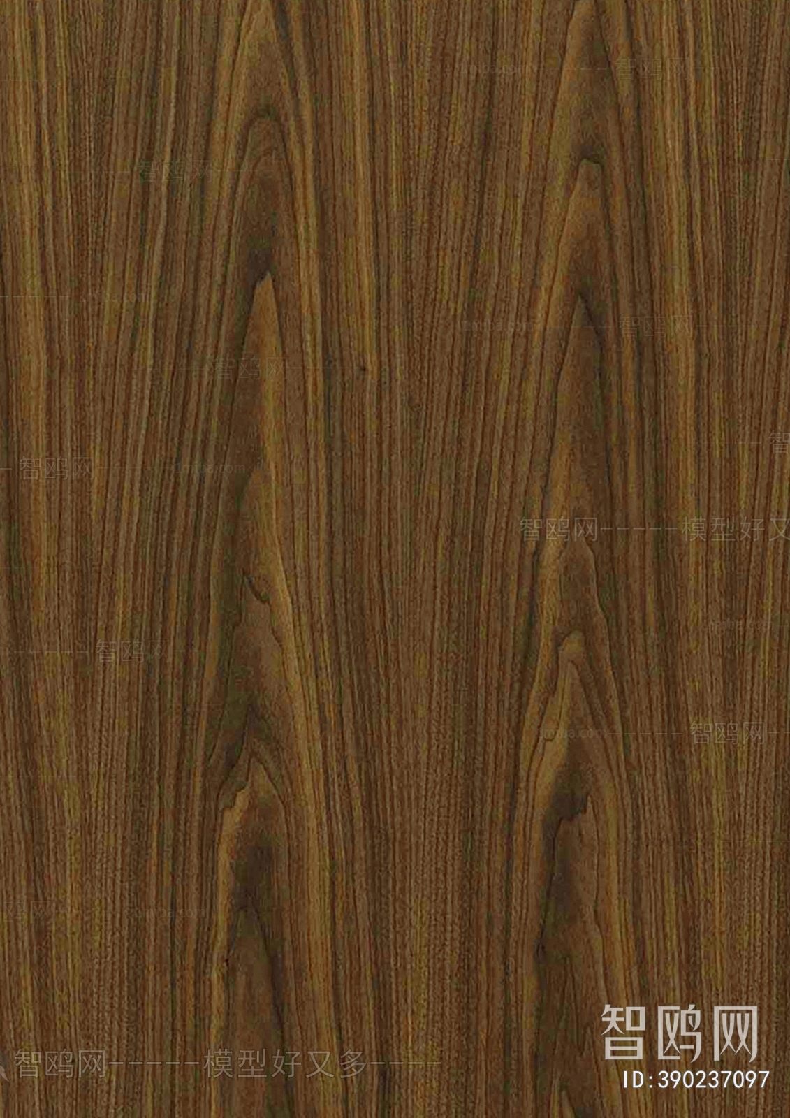 Wood Texture