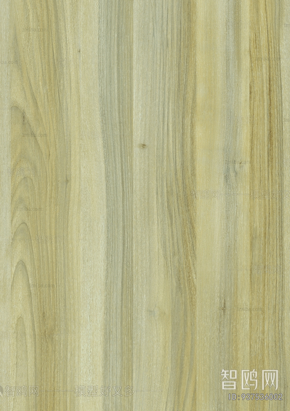 Wood Texture