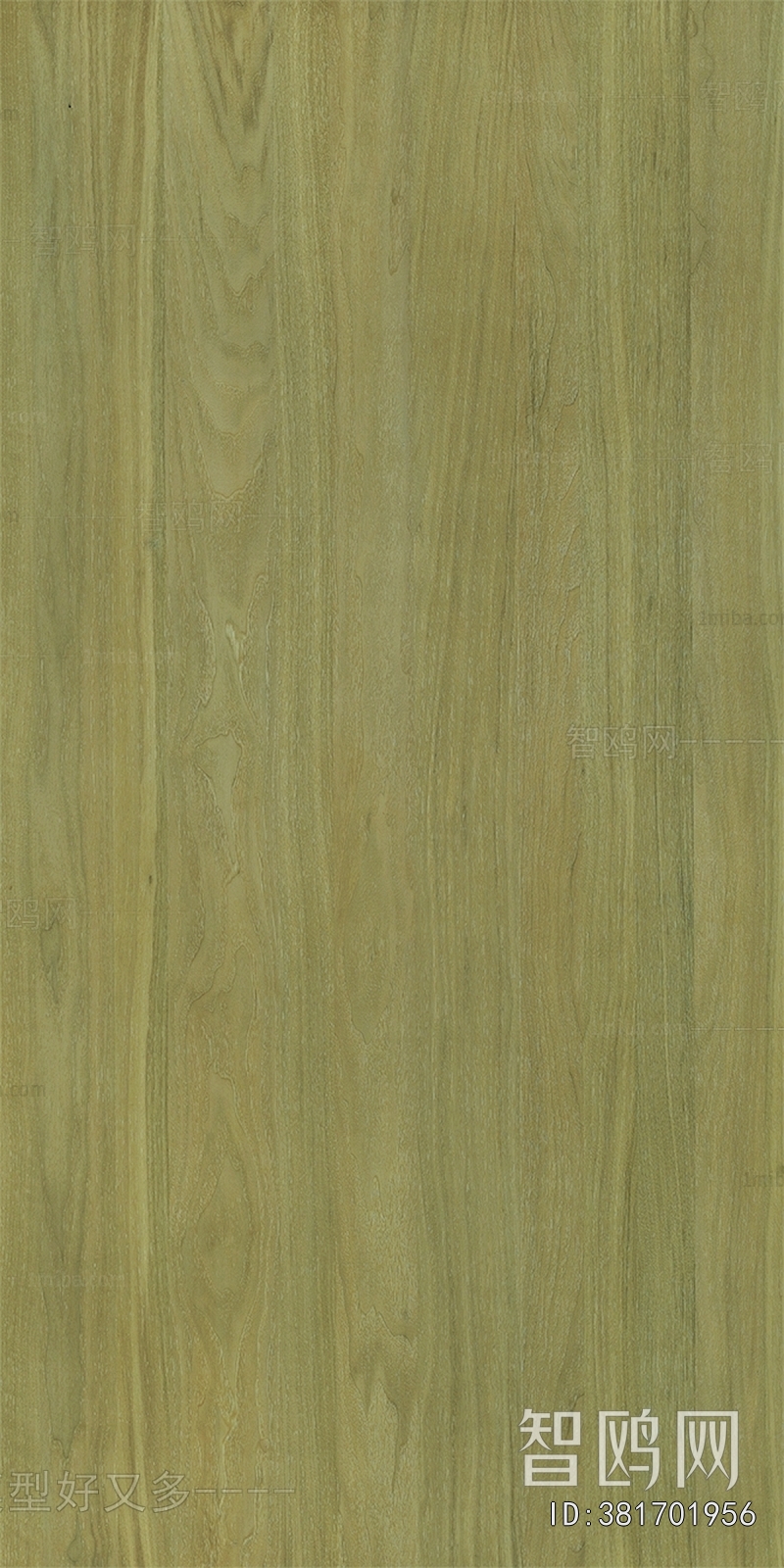 Wood Texture
