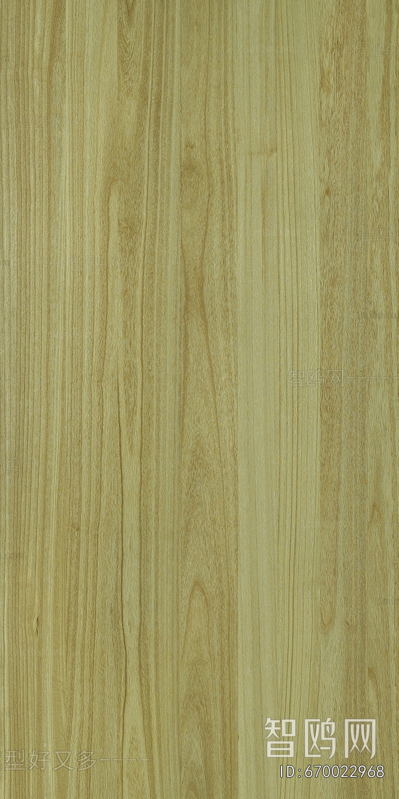 Wood Texture